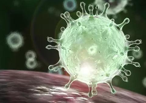 Servidores da saúde têm mortes lamentadas pelo Executivo municipal