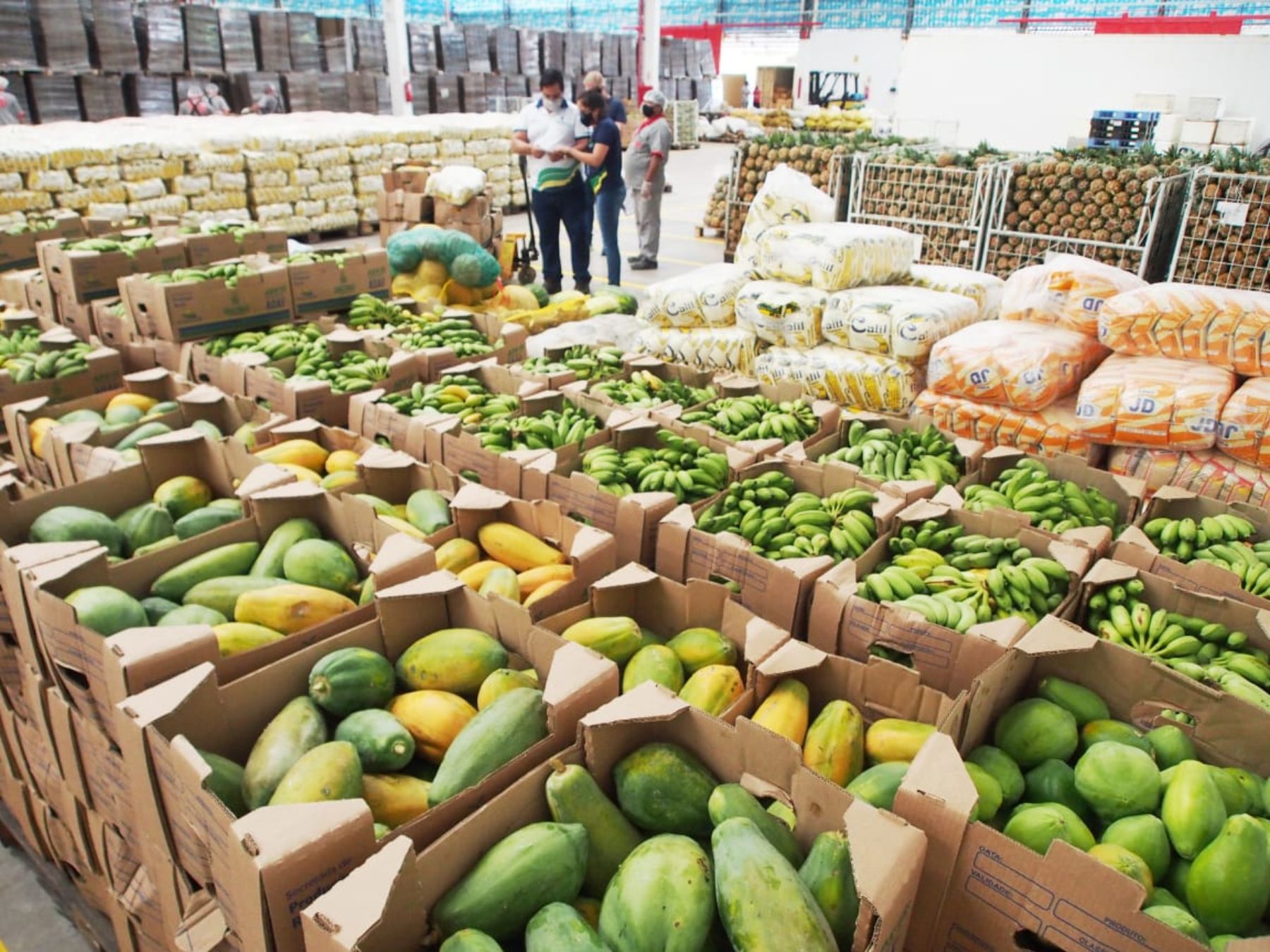 122 toneladas de alimentos serão entregues para famílias carentes no Amazonas 