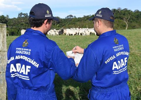 Cadastro obrigatório de animais começa pelas regiões sul e sudoeste do Amazonas