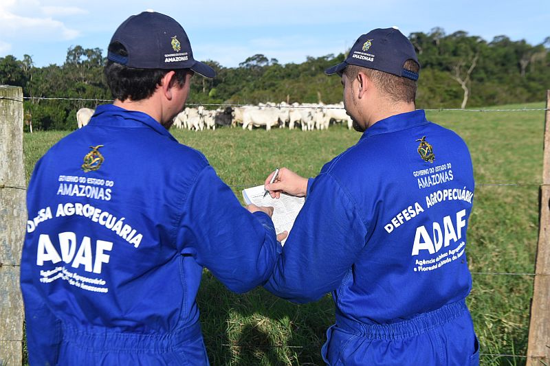 Cadastro obrigatório de animais começa pelas regiões sul e sudoeste do Amazonas