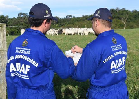 Produtores do AM deverão realizar a atualização cadastral de animais