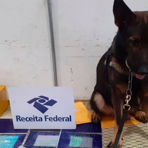 Cão Odin encontra drogas que seriam enviadas pelos correios de Manaus 