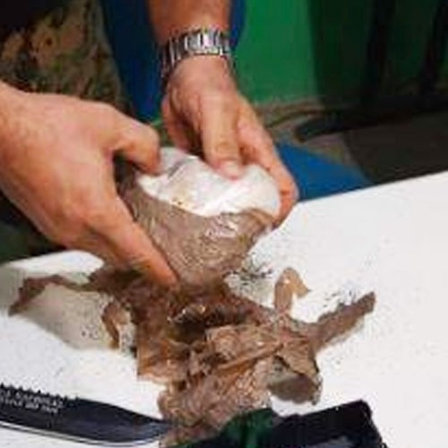 Droga é apreendida dentro de aparelho de som em barco no Amazonas 