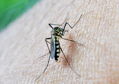 Casos de malária reduzem no Amazonas 