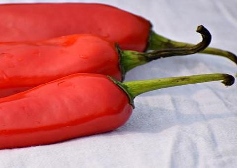 Pimenta Malagueta ajuda no combate a dores musculares; saiba mais