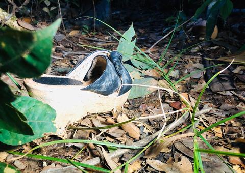 Durante live, filha descobre que ossada encontrada em Manaus é de mãe desaparecida há 2 meses