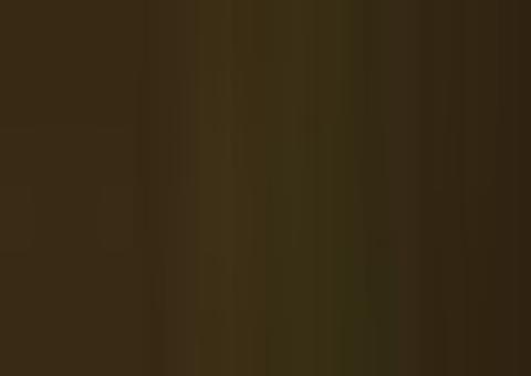 Bolsonaro diz que gostaria que brasileiros voltassem ao trabalho