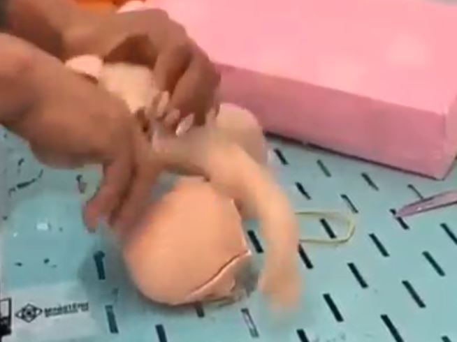 Em Manaus, drogas são encontradas dentro de boneca em encomenda nos Correios