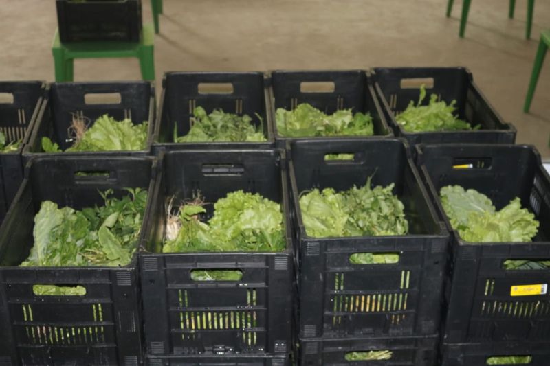 Produtos orgânicos têm ponto de distribuição na Assinpa, em Manaus