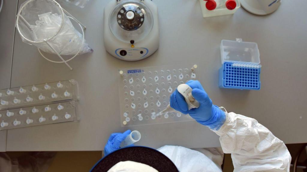 Israel anuncia descoberta de anticorpo para o coronavírus