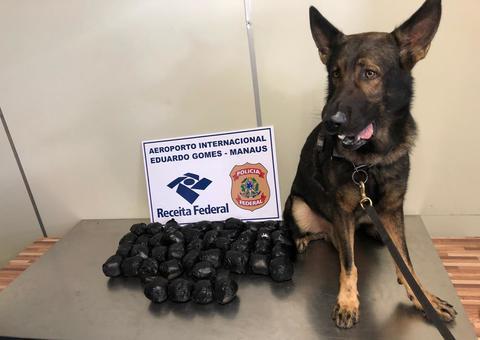 Homem e mulher são presos com 8 kg de skunk em mala no aeroporto de Manaus 