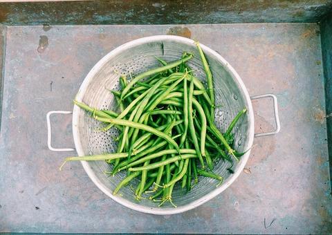 Conheça a espécie de feijão que reduz colesterol e retenção de líquidos 