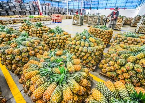 Amazonas: Mais de 76 toneladas da produção familiar são compradas pela ADS