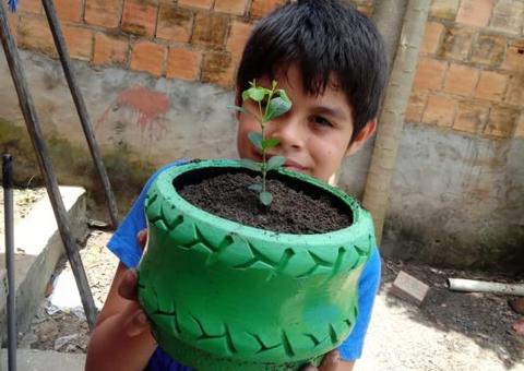 Semed usa Youtube para aplicar atividades de educação ambiental em Manaus