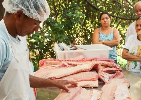 Pirarucu de Mamirauá vai ser comercializado na Feira da FAS Virtual, em Manaus