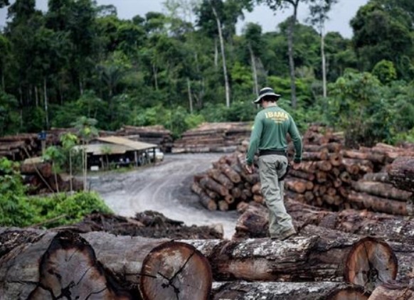 Amazonas é o terceiro estado com a maior taxa de alertas de desmatamento em abril