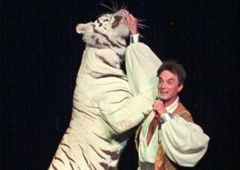 Ilusionista Roy Horn, que sobreviveu a mordida de tigre, morre de Covid-19