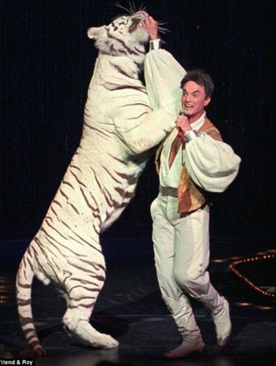 Ilusionista Roy Horn, que sobreviveu a mordida de tigre, morre de Covid-19