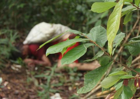 Coberto com saco, homem é encontrado morto perto da Praia Dourada
