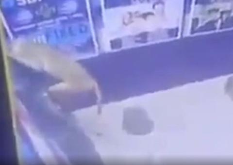 Macaco é flagrado 'arrombando' caixa eletrônico