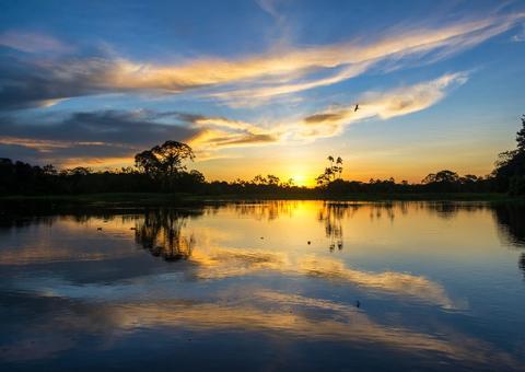 Plataforma disponibiliza visita virtual à Amazônia