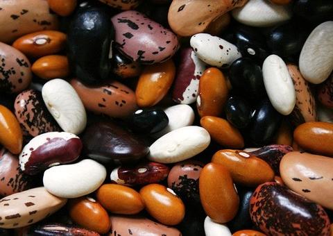 Proteínas vegetais têm benefícios semelhantes aos da carne; saiba mais 