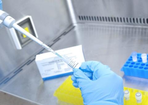 Após novos casos, Wuhan, berço da pandemia, planeja testar 11 milhões de habitantes