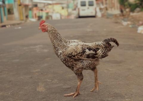 Gravado na Compensa, O Tempo Passa será exibido na TV neste domingo