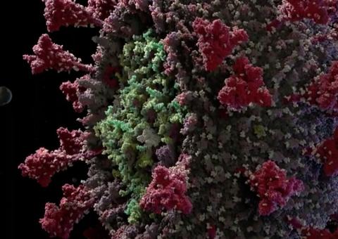 Laboratório afirma ter descoberto cura para a Covid-19: 'funciona 100%'