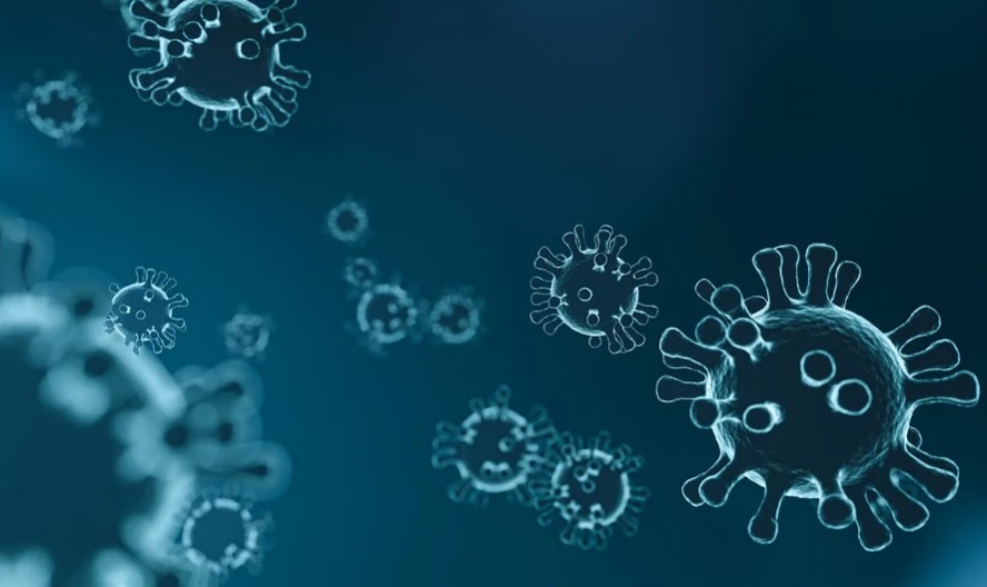 Casos de coronavírus no interior do Amazonas se aproximam dos 10 mil 