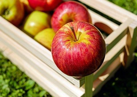 Comer maçã ajuda no combate ao mau hálito; veja outros benefícios