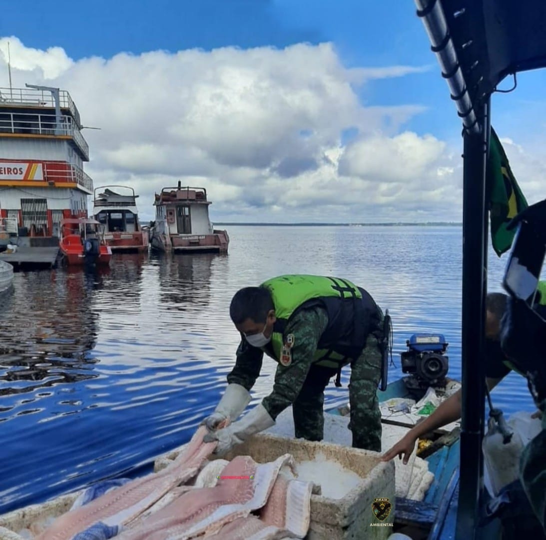 Homem é detido com 150 kg de pirarucu ilegal na orla de Manaus 