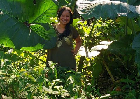 Live  'Agroecologia e Consumo Consciente' acontece nesta segunda 