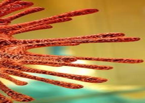 Com 585 casos novos, Amazonas alcança 20.913 contaminados pela Covid-19 