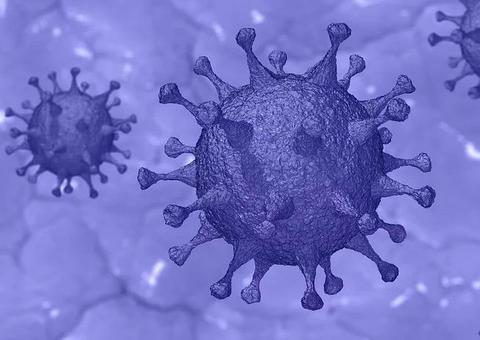 Brasil registra 674 novas mortes e passa Reino Unido em casos de coronavírus