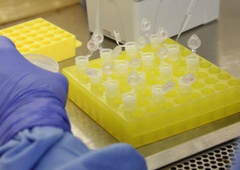 Termina hoje 1º etapa de levantamento sobre evolução de covid-19 no Brasil