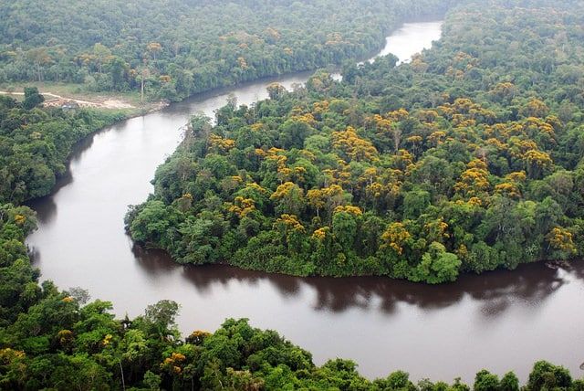 MPF condena pressa e pede ampla discussão do projeto de regularização fundiária na Amazônia