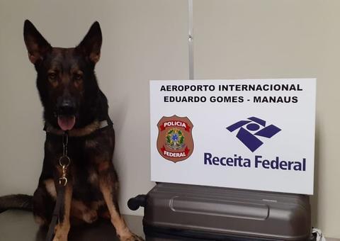 Em Manaus, homem é preso no aeroporto com porções de droga escondida em mala 