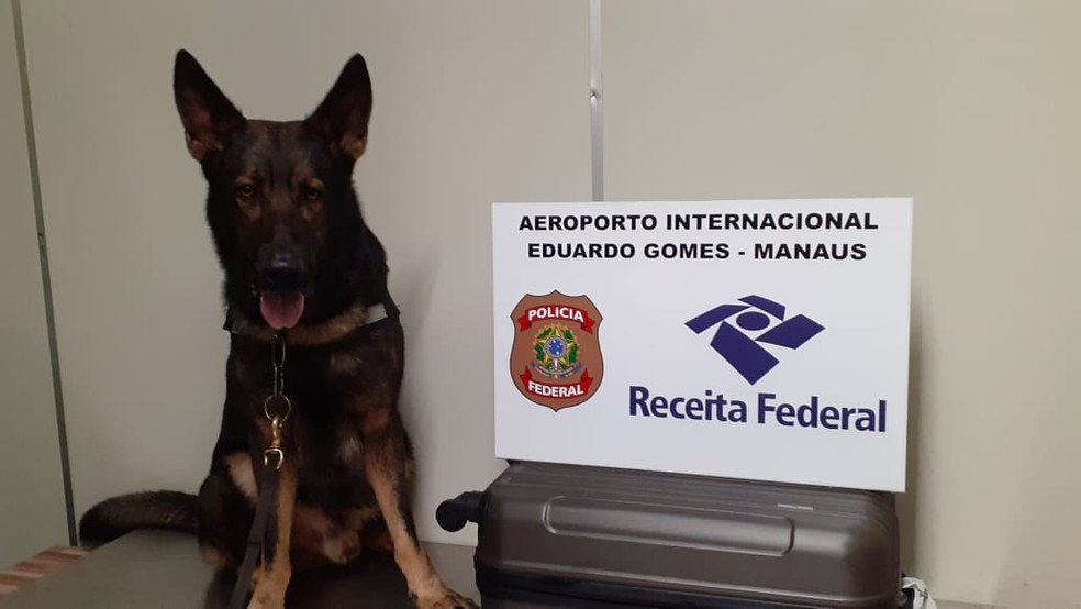 Em Manaus, homem é preso no aeroporto com porções de droga escondida em mala 