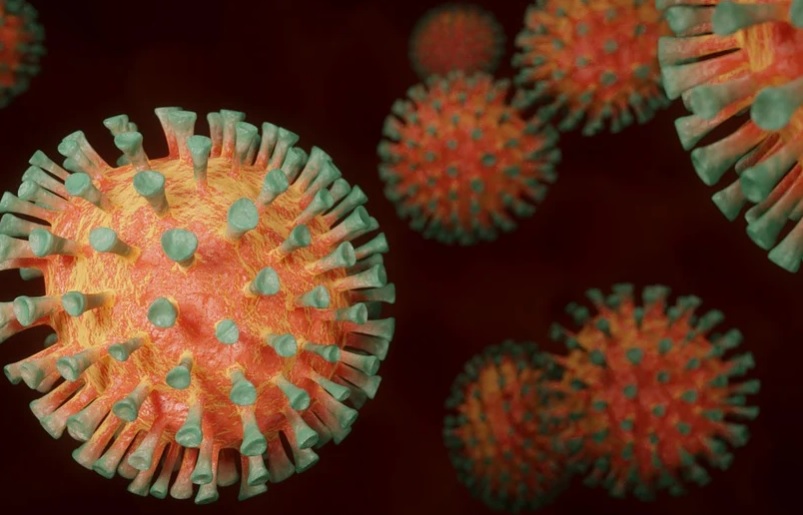 Interior do Amazonas atinge 12.061 casos de coronavírus 