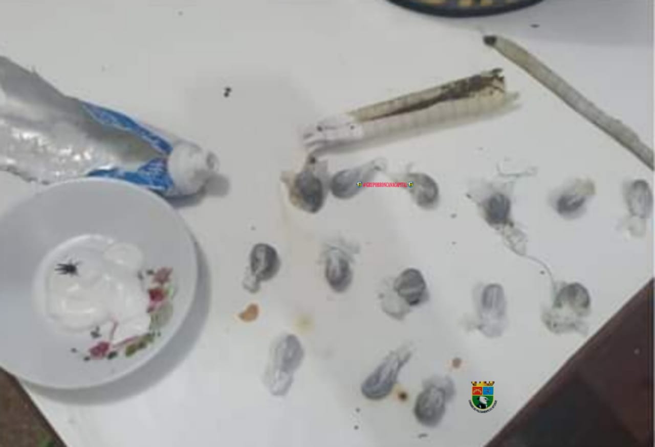 No Amazonas, mulher tenta entrar com drogas em carceragem de delegacia e acaba presa