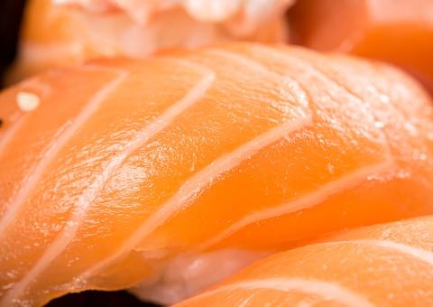 Salmão ajuda a manter a imunidade em dia; conheça benefícios