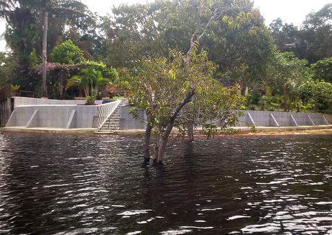 Fiscalização constata construção irregular às margens do lago do Tupé