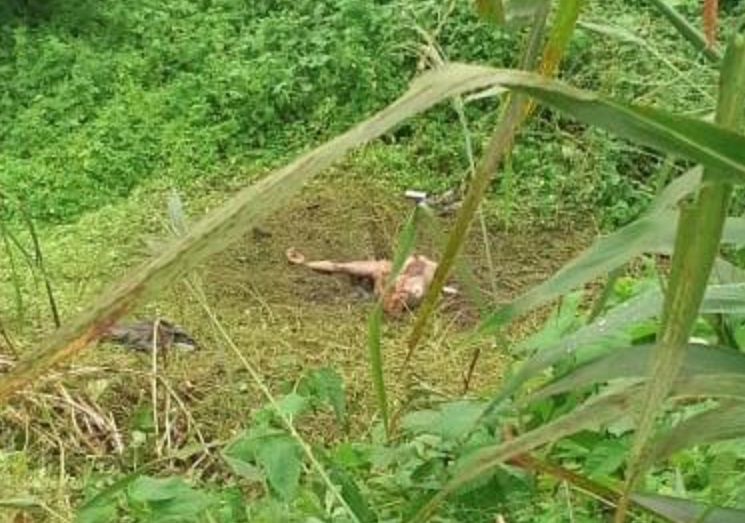 No Amazonas, corpo devorado por insetos é encontrado na beira do rio