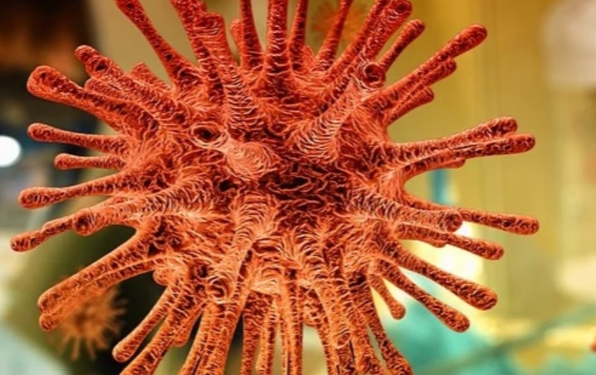 Casos de coronavírus no interior do Amazonas avançam e número chega a 14.071 