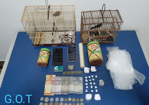 Trio é preso com drogas e animais silvestres durante operação no Amazonas 