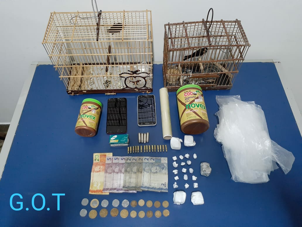 Trio é preso com drogas e animais silvestres durante operação no Amazonas 