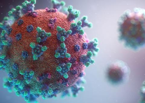 Segundo indígena ianomâmi morre de Covid-19 no Amazonas 