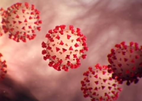 Brasil registra 1.039 novas mortes por coronavírus; total passa de 24 mil