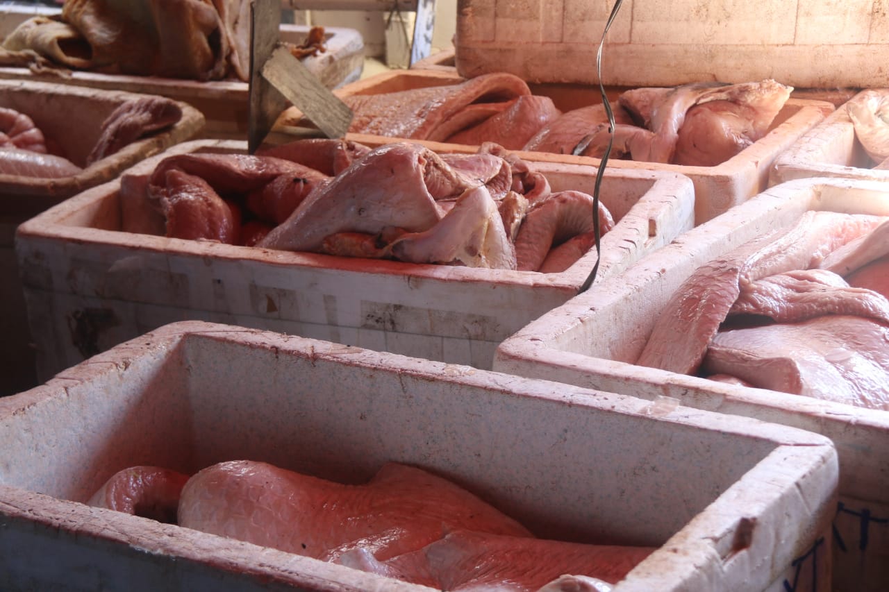 Trio é detido e mais de 3 toneladas de pescado ilegal são apreendidos em Manaus 